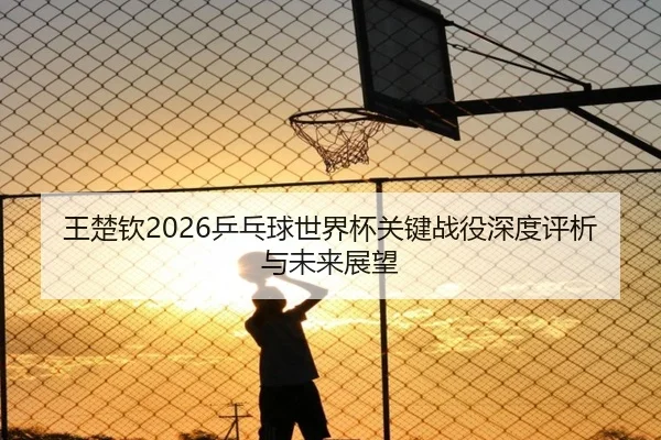 王楚钦2026乒乓球世界杯关键战役深度评析与未来展望（TAP TAP）